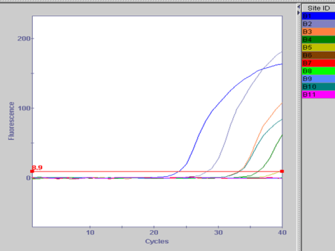 pcr