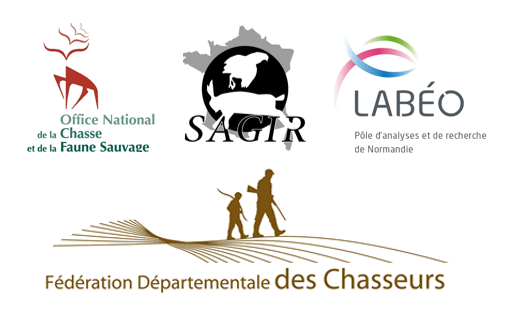 logos sagir fdc oncfs labeo