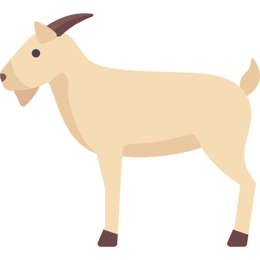 chevre