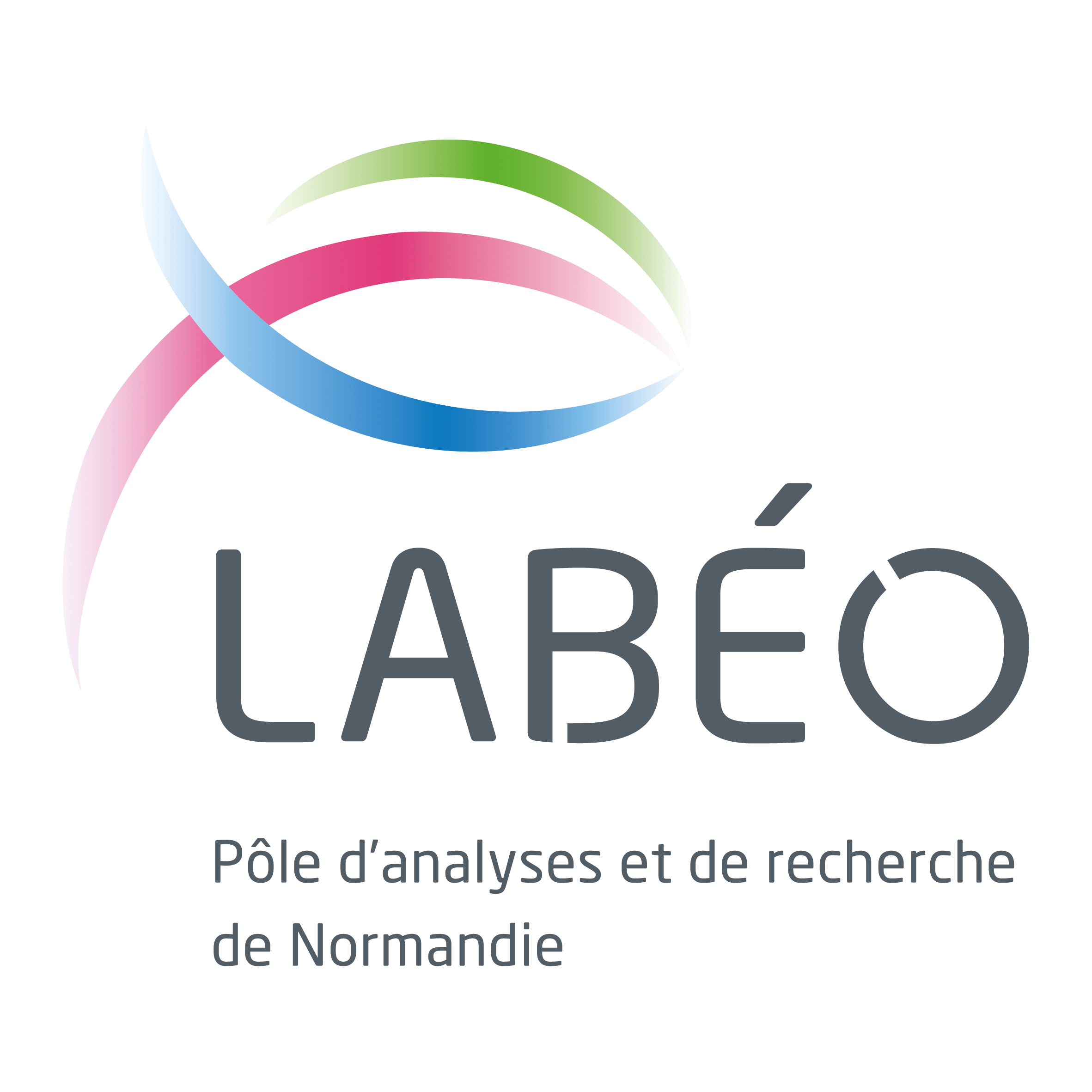 labeo